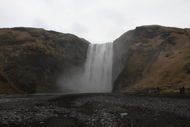 IMG_4138.JPG