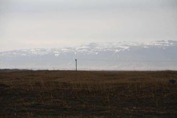 IMG_4163.JPG