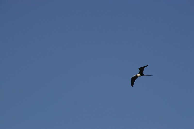 IMG_0249.JPG
