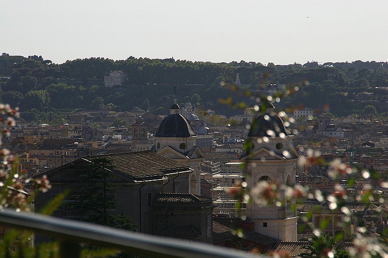 IMG_0003_2.JPG