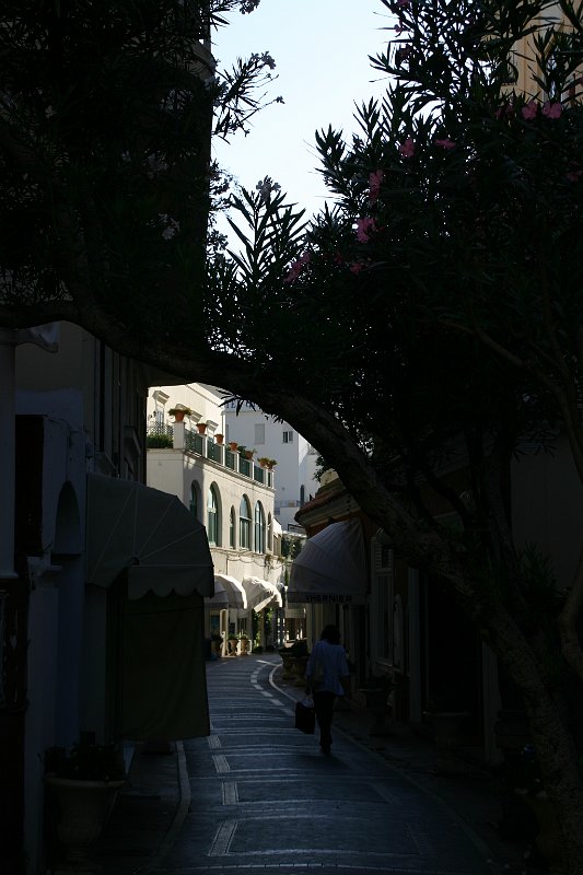 IMG_0376.JPG