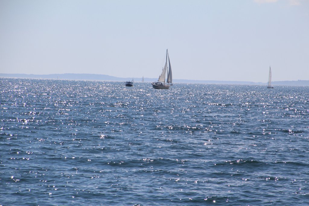 IMG_0683.JPG