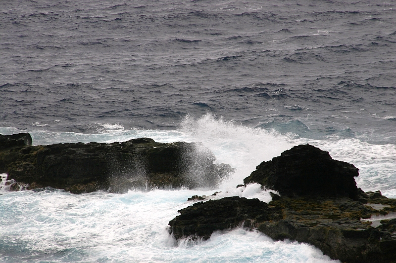 IMG_0221.JPG