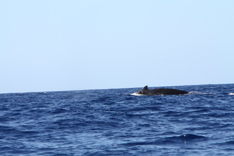 IMG_3630.JPG