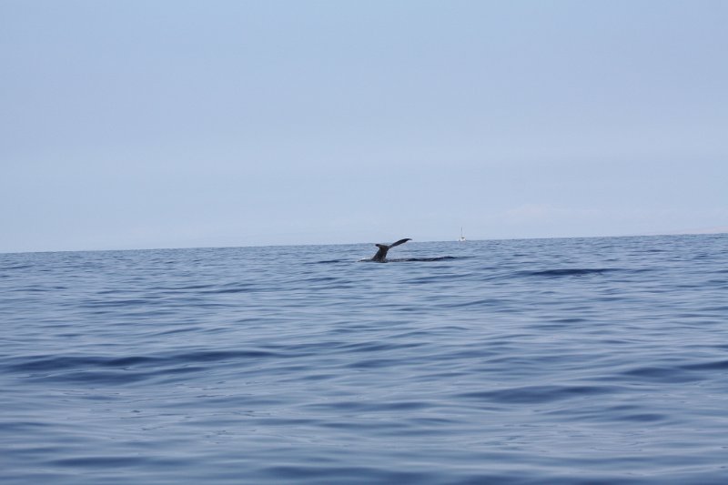 IMG_3850.JPG