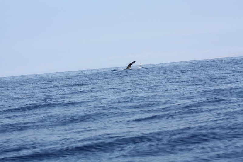 IMG_3851.JPG