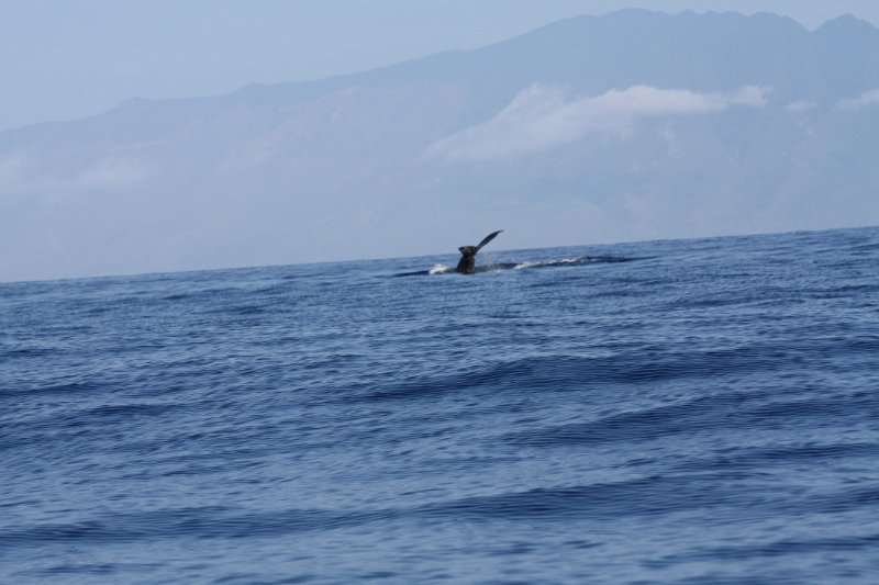 IMG_3853.JPG