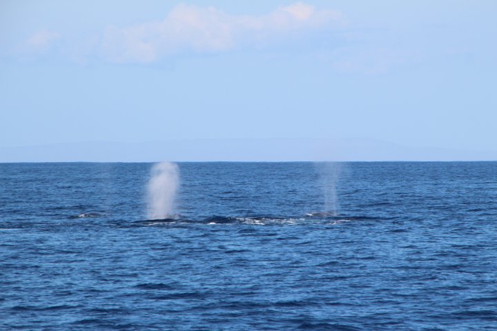 IMG_0033.JPG