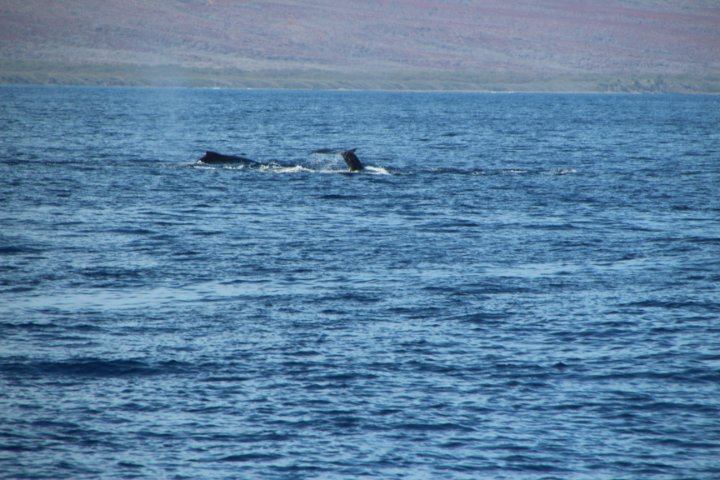 IMG_0038.JPG