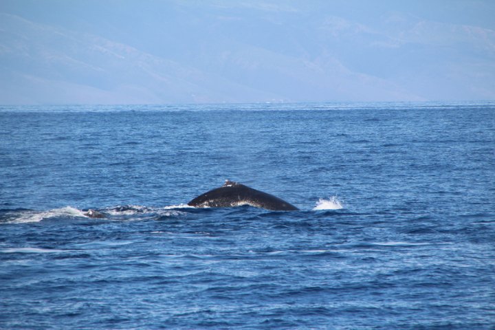 IMG_0053.JPG