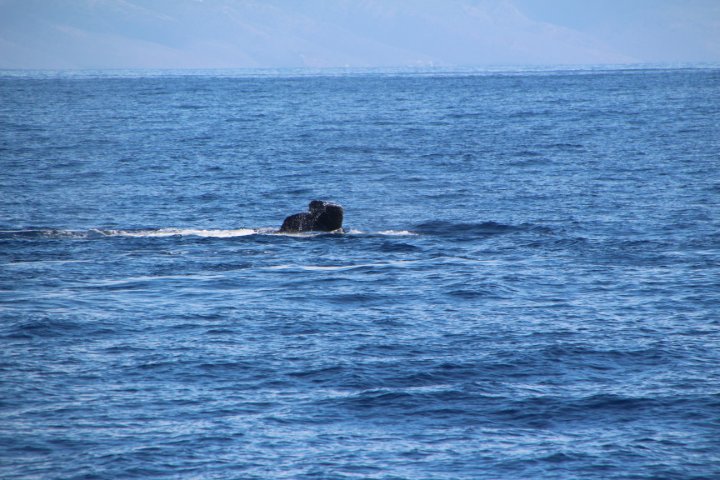 IMG_0056.JPG