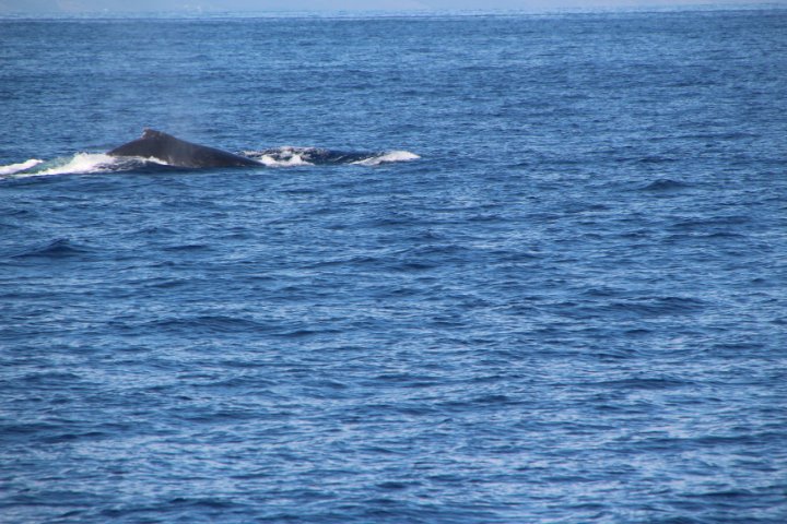 IMG_0057.JPG