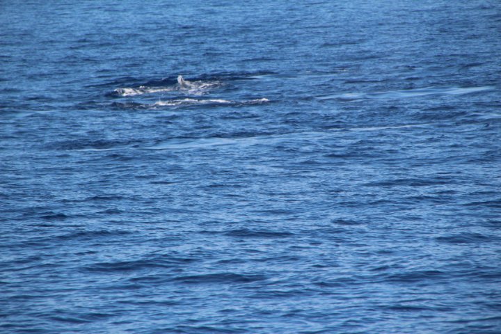 IMG_0060.JPG