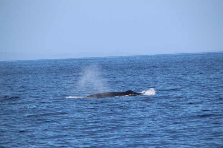 IMG_0062.JPG