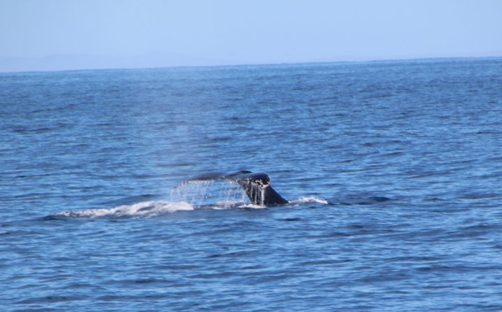 IMG_0068.JPG