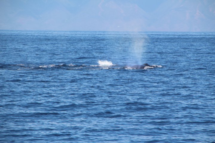 IMG_0084.JPG