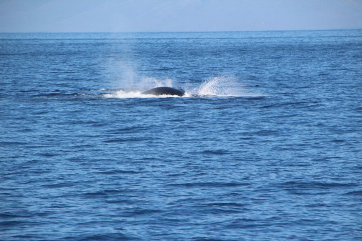IMG_0087.JPG