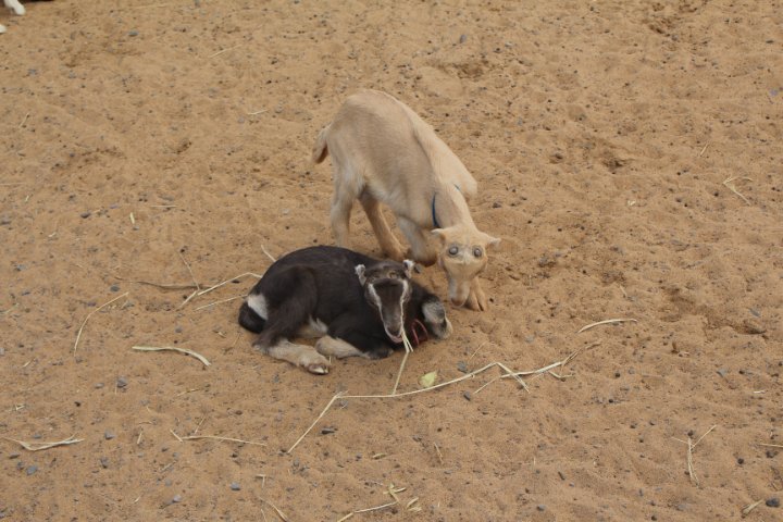 IMG_0142.JPG
