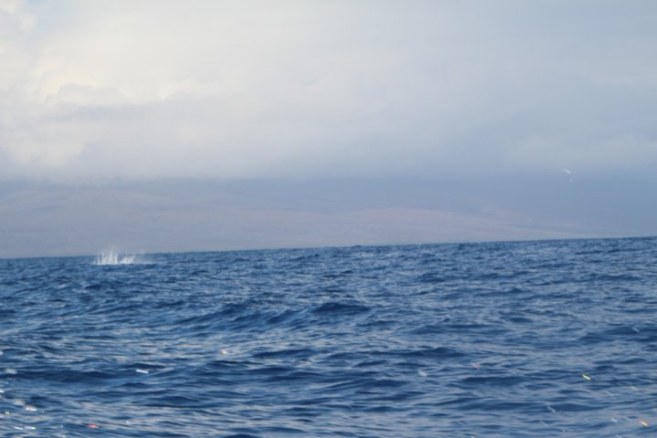 IMG_0260.JPG