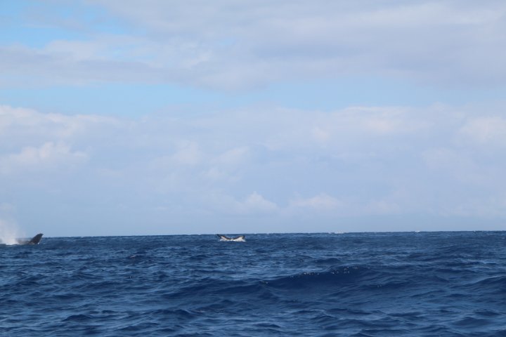 IMG_0267.JPG