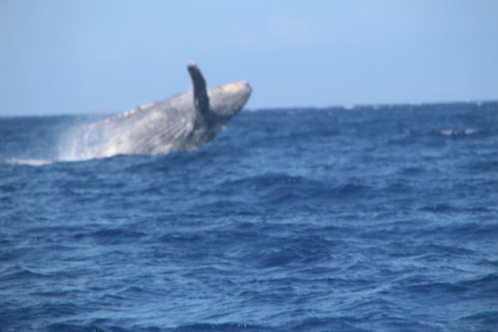 IMG_0275.JPG