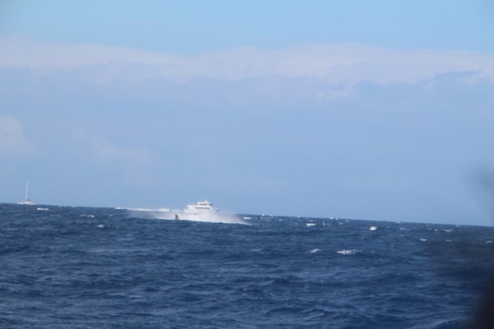 IMG_0278.JPG