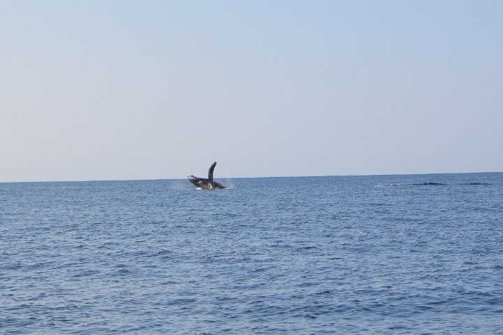 IMG_0186.JPG