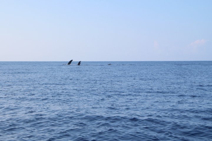 IMG_0187.JPG