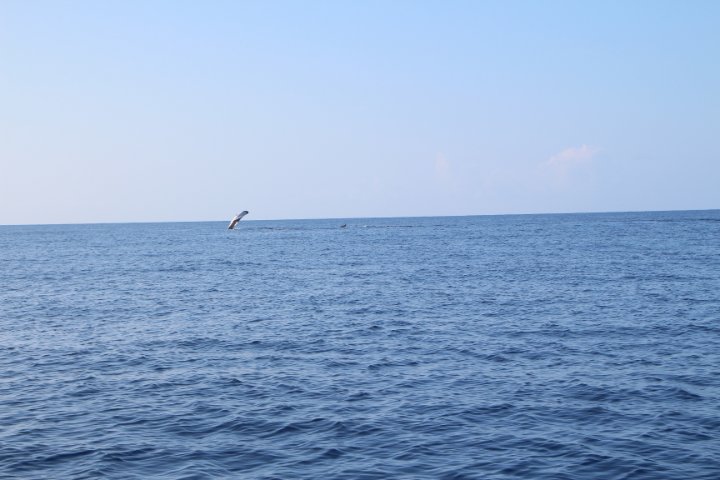 IMG_0188.JPG
