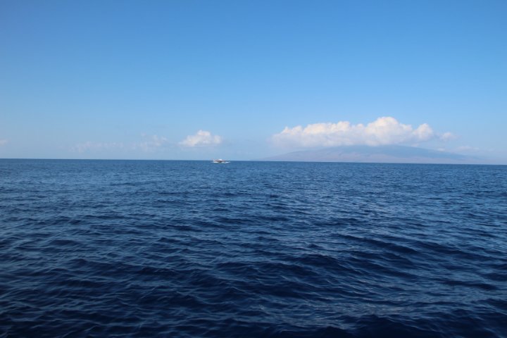 IMG_0191.JPG