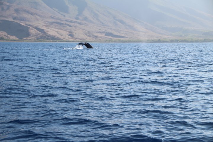 IMG_0200.JPG
