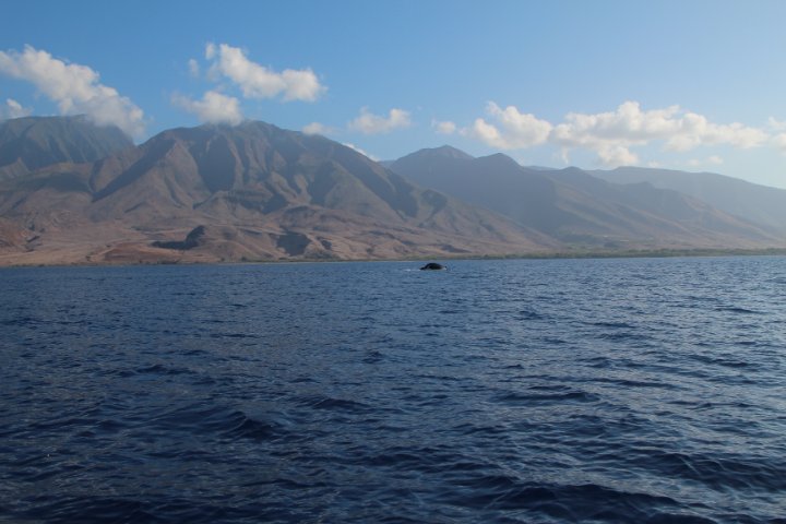 IMG_0205.JPG