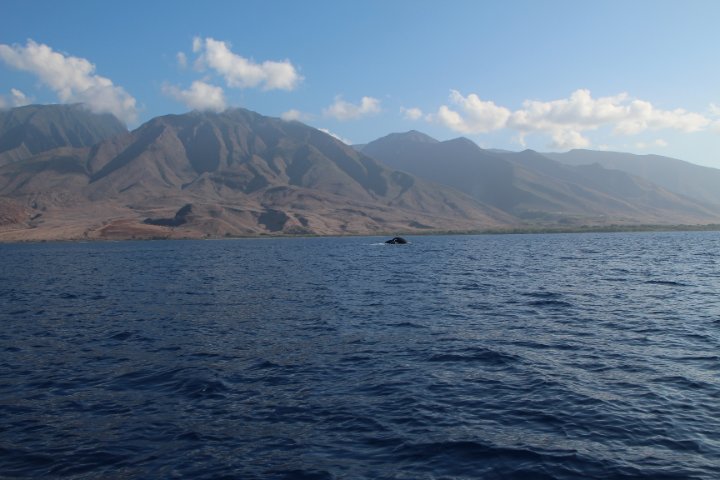 IMG_0206.JPG