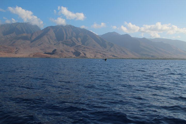 IMG_0207.JPG