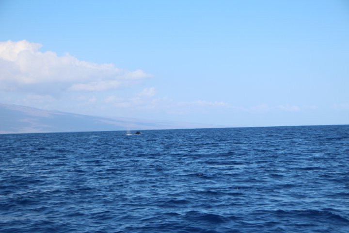 IMG_0212.JPG