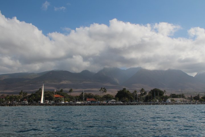 IMG_0228.JPG