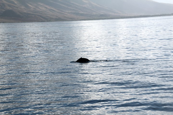 IMG_1661.JPG