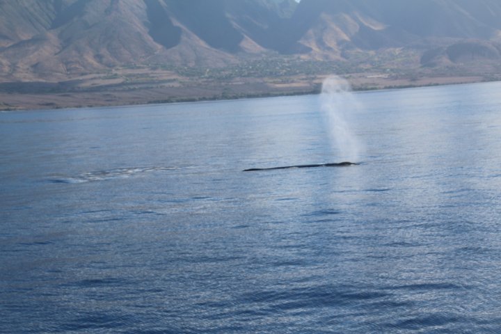 IMG_1666.JPG