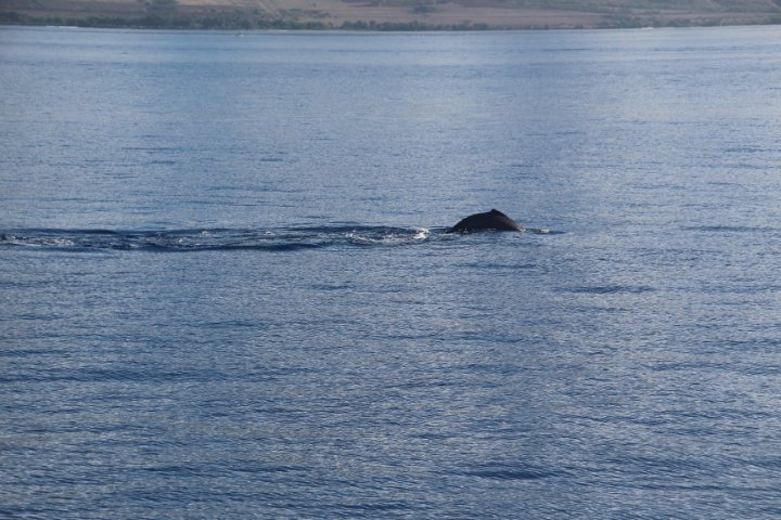 IMG_1673.JPG