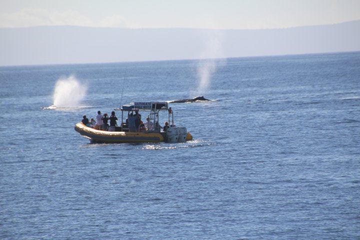 IMG_1677.JPG