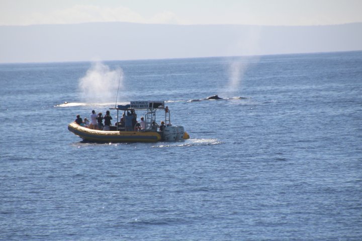 IMG_1678.JPG