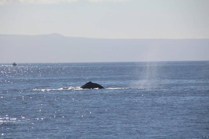 IMG_1680.JPG