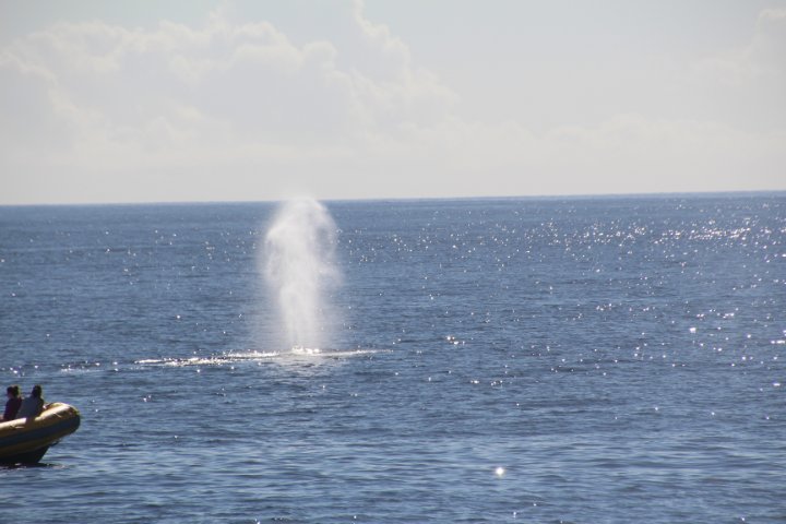 IMG_1681.JPG