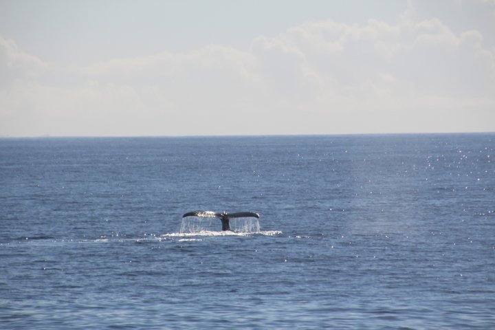 IMG_1683.JPG