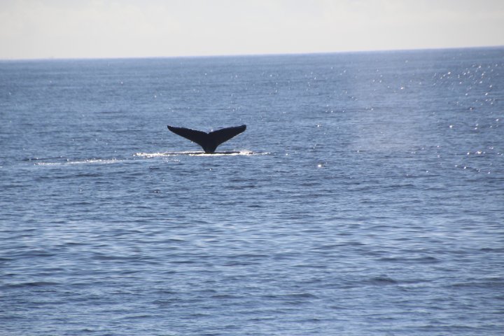 IMG_1684.JPG
