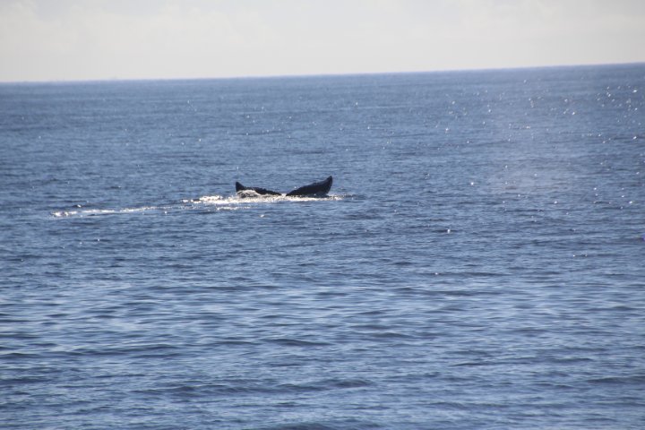 IMG_1685.JPG