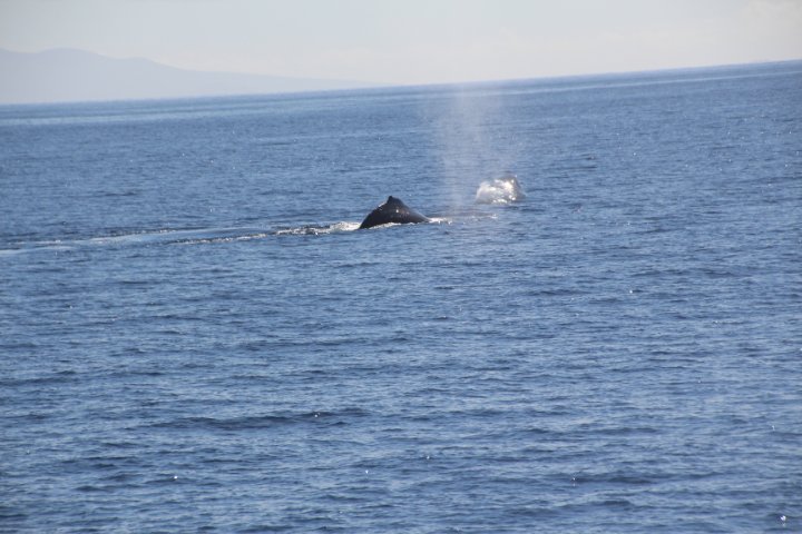 IMG_1699.JPG
