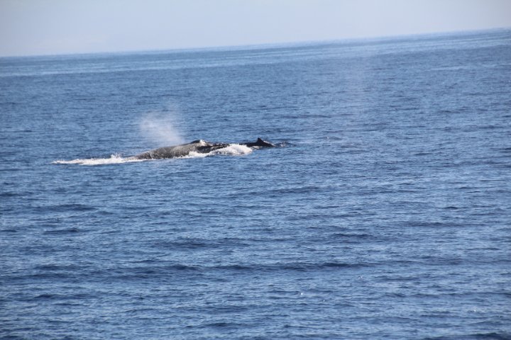 IMG_1701.JPG