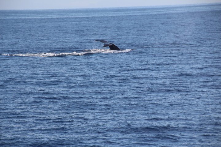 IMG_1705.JPG