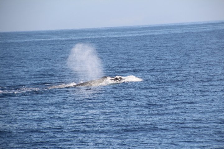IMG_1706.JPG
